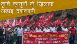 Farmer's protest 