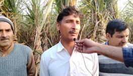 अपनी बात कहते यूपी के मुज़फ़्फ़रनगर के सोरम गांव के गन्ना किसान। 