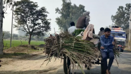 किसान आंदोलन