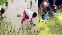 किसान क्या बोता है और सरकार क्या बो रही है!