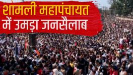 कृषि क़ानून: लगातार बढ़ता प्रतिरोध, शामली में उमड़ा जनसैलाब
