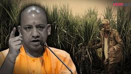 प्रश्न प्रदेश: योगी सरकार का चार साल का जश्न और गन्ना किसानों की परेशानी