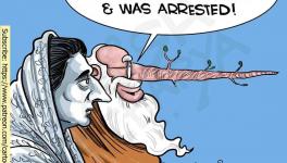 मोदी जी और सत्याग्रह: या-रब न वो समझे हैं न समझेंगे होली का त्योहार!