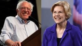 sanders