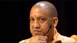 Yogi