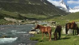 अश्तर घाटी पीर पंजाल पर्वत श्रृंखला के आसपास शालि गंगा नदी। फ़ोटो: साभार: राजा मुज़फ़्फ़र भट