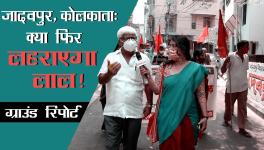 भाषा सिंह