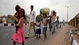 सुप्रीम कोर्ट ने सभी राज्यों से 'प्रवासी बच्चों' की स्थिति व संख्या की रिपोर्ट मांगी