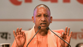  योगी