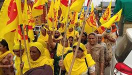 कृषि क़ानून : आंदोलन के 6 महीने पूरे होने पर 26 मई को 'काला दिन' मनाएंगे किसान संगठन