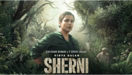 शेरनी : दो मादाओं की एक-सी नियति की कहानी