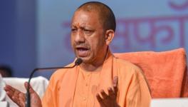 yogi