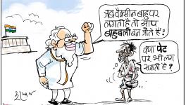 cartoon