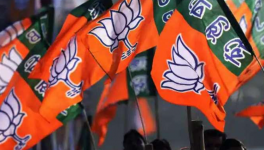 तमिलनाडु : कथित सेक्स चैट से बीजेपी को बड़ा झटका