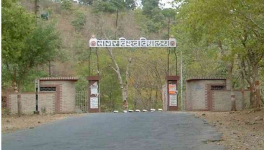 सागर विश्वविद्यालय