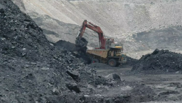 Coal