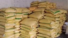 dap fertilizer