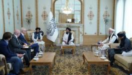 taliban