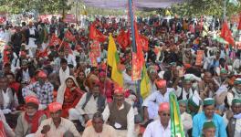 farmers movement