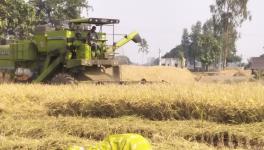 Ramraj government's indifference towards farmers