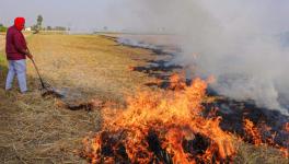  Stubble Burning 