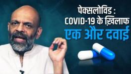 पेक्सलोविड: Covid-19 के ख़िलाफ़ एक और दवाई और इसके मायने