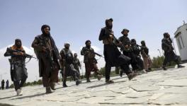 Taliban
