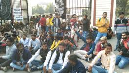 gorakhpur university
