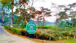 Berang goodrick