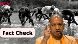 fact check