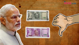 modi