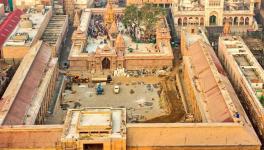 kashi