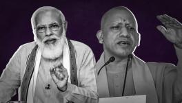 up elections