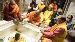 yogi