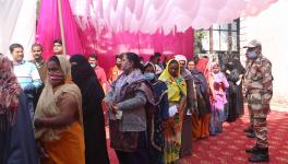 up elections