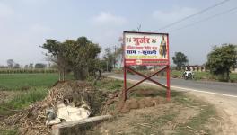 up elections
