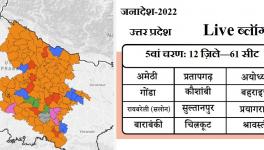 up elections