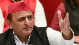 Akhilesh Yadav