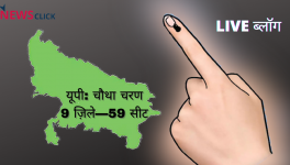 up elections