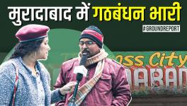 UP Elections