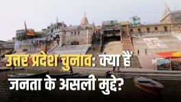 up elections