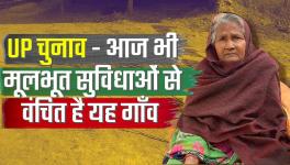 up elections