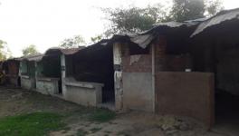 Gujara