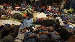 Syrian refugees