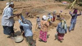 MNREGA
