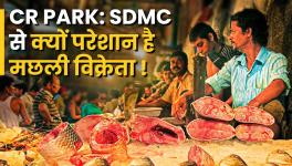 sdmc