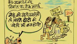 cartoon