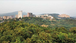 aarey forest