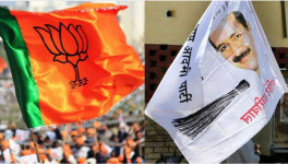 bjp