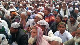 muslims